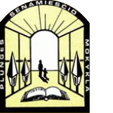 Plungės Senamiesčio mokykla